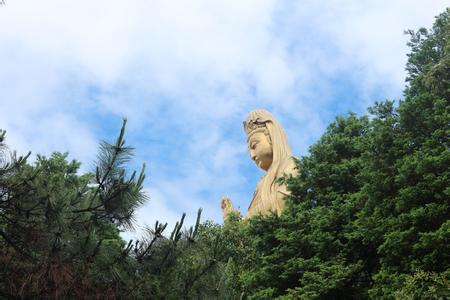 海天佛國普陀山、普濟寺、南海觀音 三天雙飛朝圣之旅PT-01