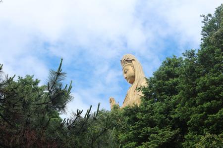海天佛國普陀山、普濟(jì)寺、南海觀音 三天雙飛朝圣之旅PT-01